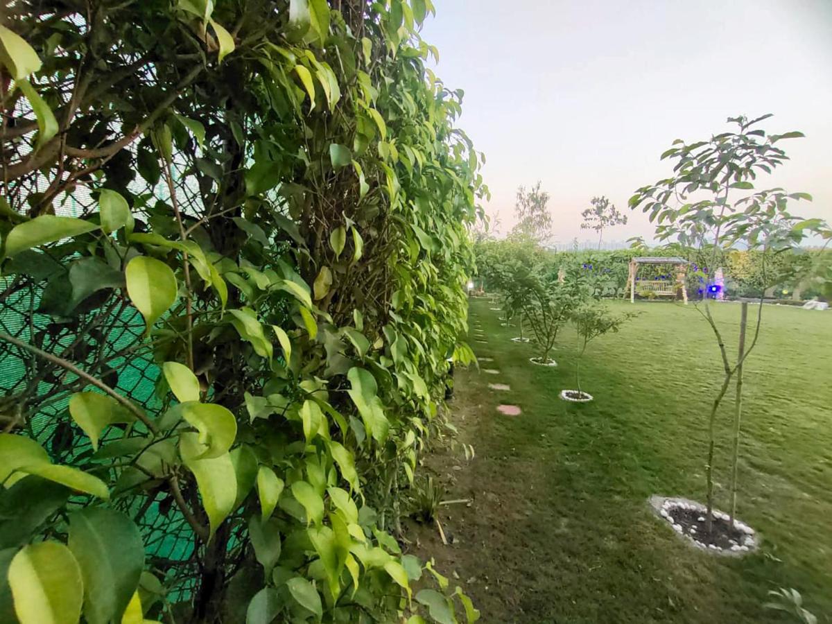 Shaw Estate-Farm House For A Small Parties-Jp Farm 그레이터 노이다 외부 사진